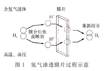 氫氣滲透膜片過程示意
